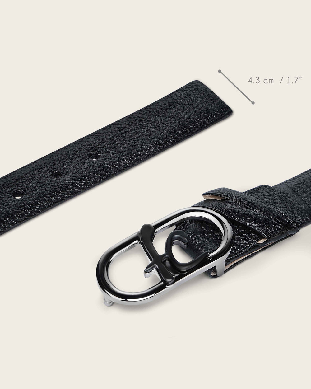 Cuadra Cinto Venado Negro