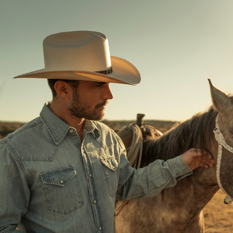 Stetson 1000x Evilla De Oro