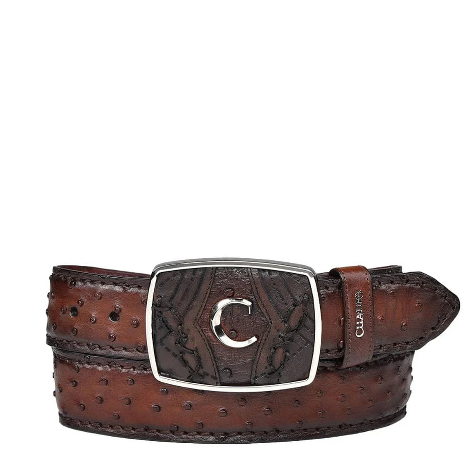 Cuadra Men's Moroni Chestnut Ostrich Laser Belt