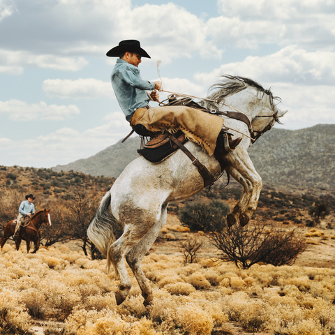 Stetson 6x Skyline Black