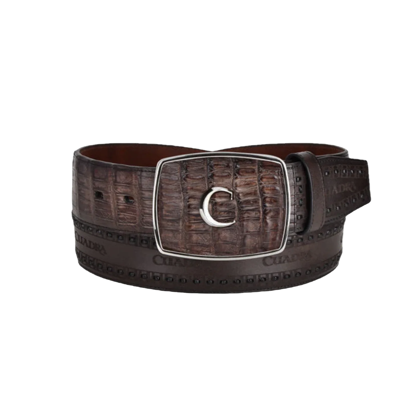 Cuadra Cinto Caimán Chocolate
